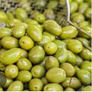 Meet your Posher, Lorelei